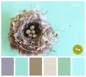 Inspired by nature color palette