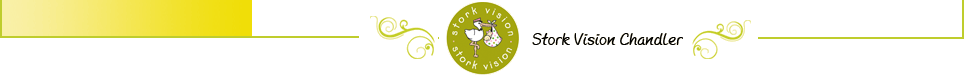 Stork Vision Chandler
