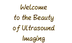 Welcome to the Beauty of Ultrasound Imaging