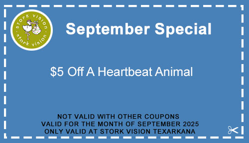 Book Now